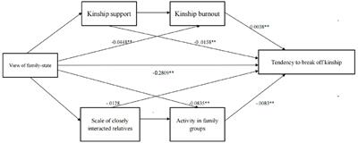 The impact of culture perception on kinship disconnection of Chinese youth: examining the chain mediating effect of kinship support, kinship burnout, and social media interaction